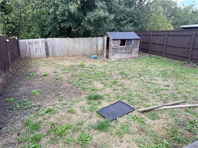 Picture 11